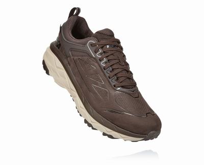 Hoka One One Challenger Low GORE-TEX Férfi Terepfutó Cipő - Kávé [H1850-064]